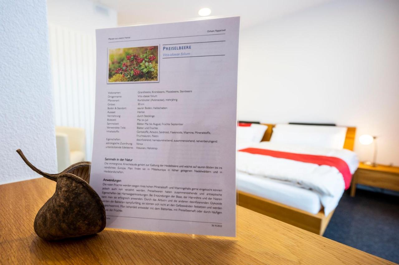 Hotel Ochsen Rapperswil/Be Rapperswil  Zewnętrze zdjęcie
